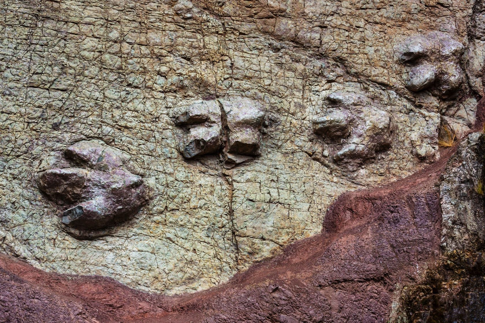 Fossil footprints set in layered rock